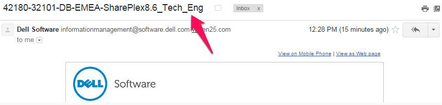 A newsletter from Dell, strange title isn't it?